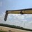 auger-8x45-3833-image-9