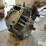 kohler-gas-engine-image-5