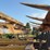 landoll-875-image-16