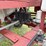 blumhardt-trailmaster-image-15