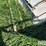 cattle-tub-w/catwalk-image-19