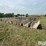 concrete-feed-bunks-image-7