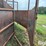 cattle-load-out-chute-image-19