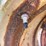minneapolis-moline-gb-image-41