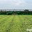 2017-john-deere-640fd-image-6