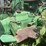 john-deere-2030-image-36