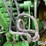 1998-john-deere-8400-image-13