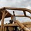 caterpillar-d6c-image-20