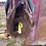 schuler-5x10-feed-wagon-image-12