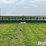 2017-john-deere-640fd-image-2