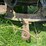 massey-ferguson-97-image-42