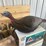 love-triangle-flock-turkey-decoys-image-4