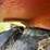 massey-ferguson-97-image-59