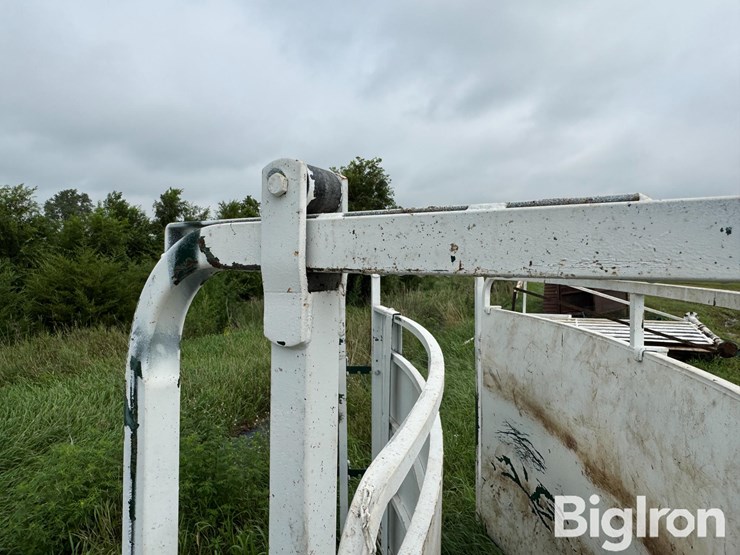 cattle-alleyway-turn-image-19