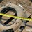 case-ih-24-image-15