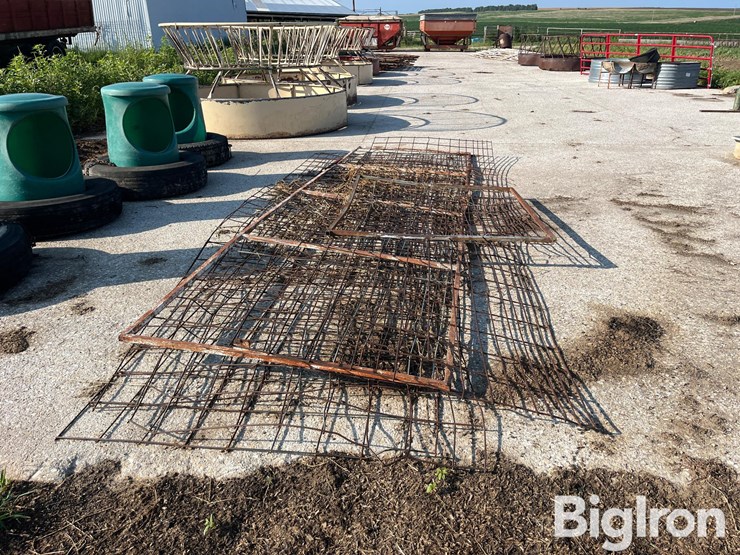 gate-&-cattle-panels-image-4