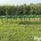 champion-300-anhydrous-applicator-image-2