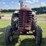 massey-harris-55-image-8