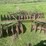 john-deere-8-image-14