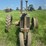 john-deere-model-b-image-8