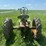 john-deere-h-image-3