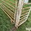 cattle-alleyway-image-11