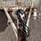 1996-butler-pole-trailer-image-12