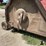 bush-hog-2615-image-18