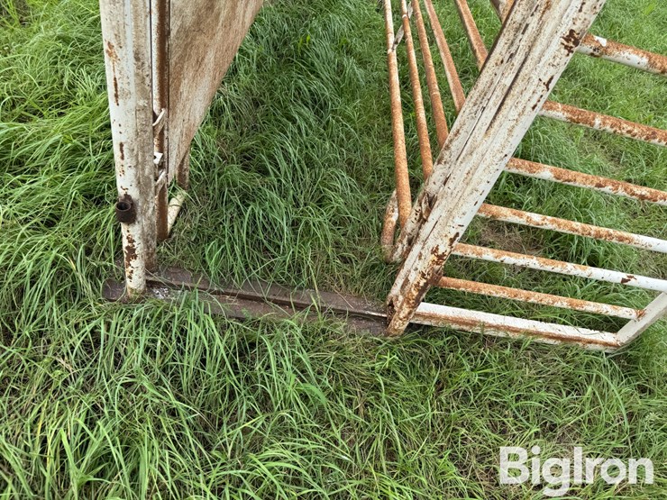 cattle-alleyway-image-10