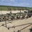john-deere-5-image-3