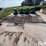 gate-&-cattle-panels-image-2