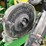 john-deere-db60-image-18