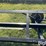 harvest-ag-ah-636-t/a-header-trailer-image-11