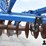 2012-landoll-2211-15-image-19