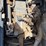2016-link-belt-235-x3-image-9