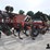2015-case-ih-2015-image-5