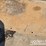 2019-bobcat-t590-image-12
