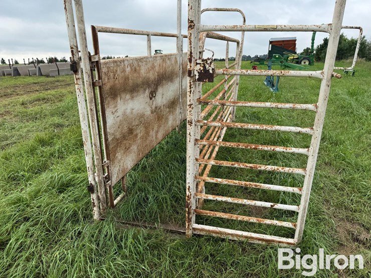 cattle-alleyway-image-9