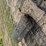 field-fence-image-13