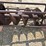 auger-8x45-3833-image-3