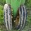 john-deere-model-b-image-12