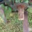 1958-john-deere-620-image-10