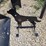 new-3/8-ar500-coyote-shooting-target-image-1