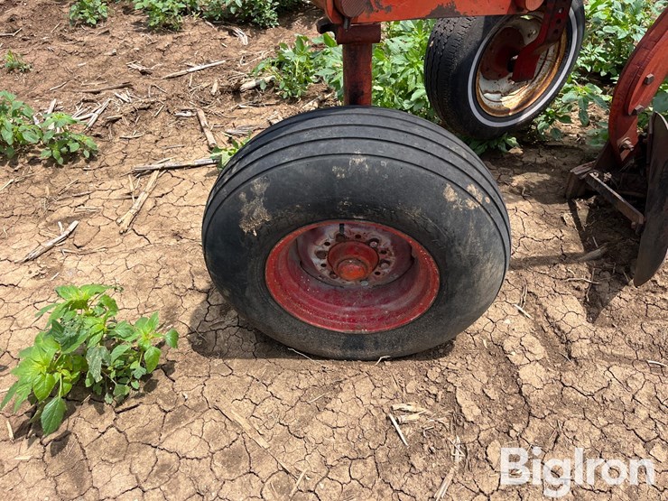 white-plow-image-20