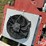 case-ih-1265-image-11