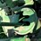 john-deere-model-b-image-34