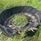 tractor-tire-water-trough-image-2