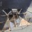 hutchinson-12x82-image-4