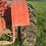 allis-chalmers-20-35-image-24