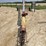auger-8x45-3833-image-2